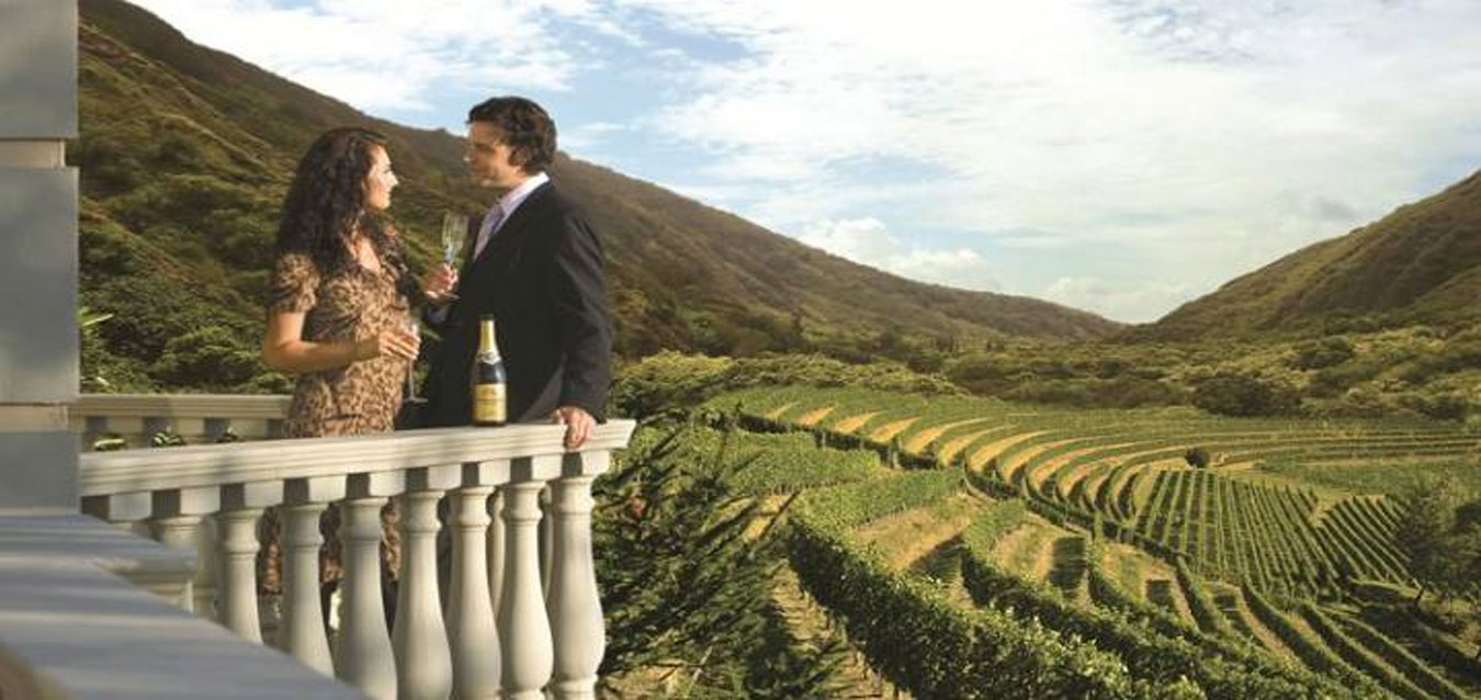 Domaine-Le-Jardin-Featured-Image